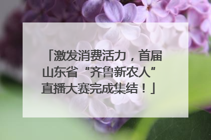 激发消费活力，首届山东省“齐鲁新农人”直播大赛完成集结！